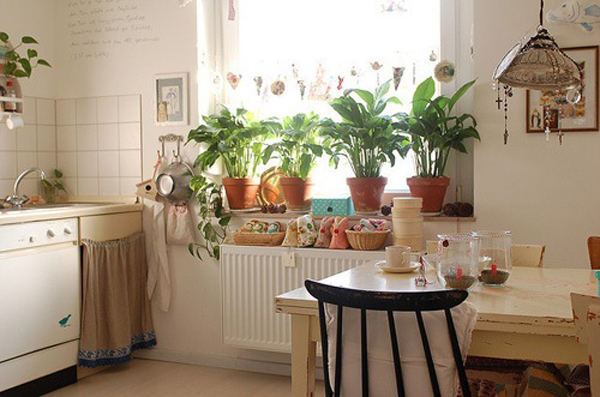 家装新创意 植物装饰效果图