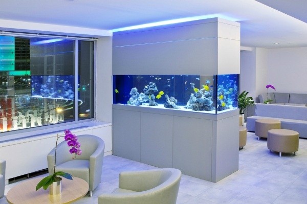 10款超酷办公室鱼缸设计